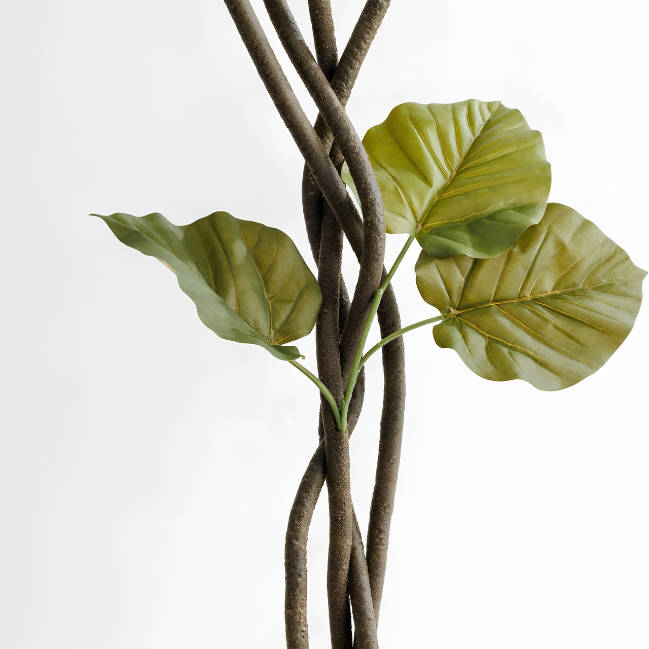 ウンベラータ曲がり 150㎝［人工観葉植物・フェイクグリーンT］