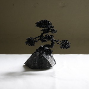 ツチンナカキ【Wirebonsai】Msize ブラック