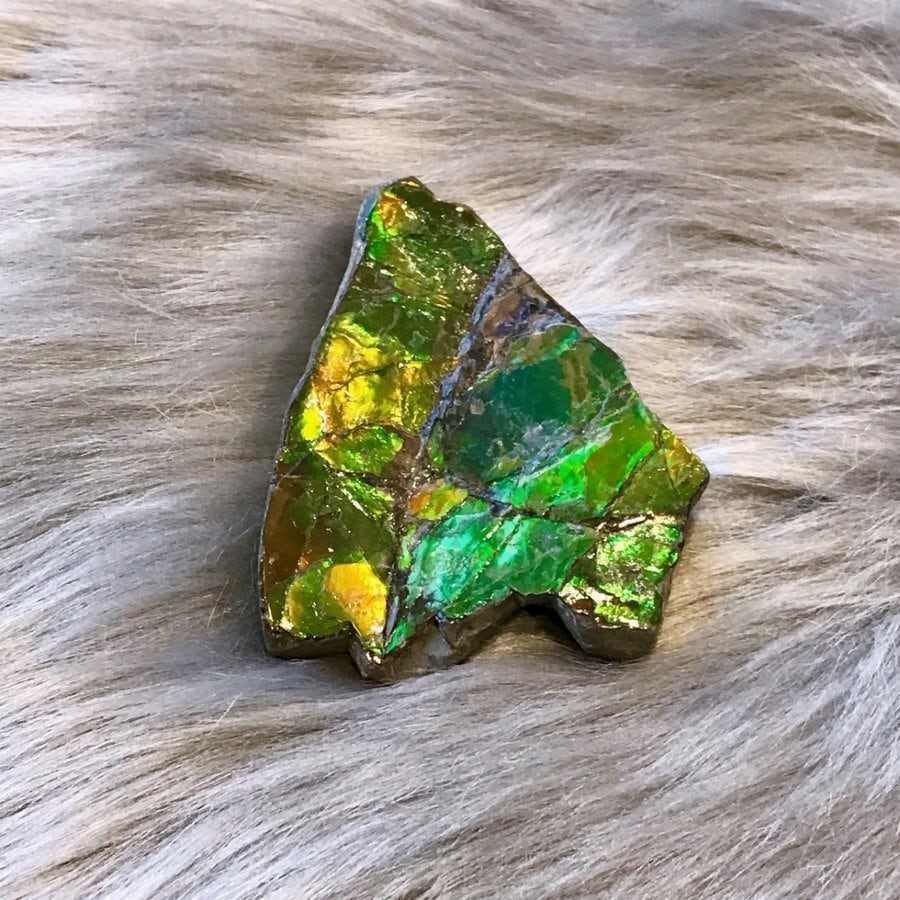 アンモライト カケラ 原石 カナディアン アンモライト 原石 ハイ
