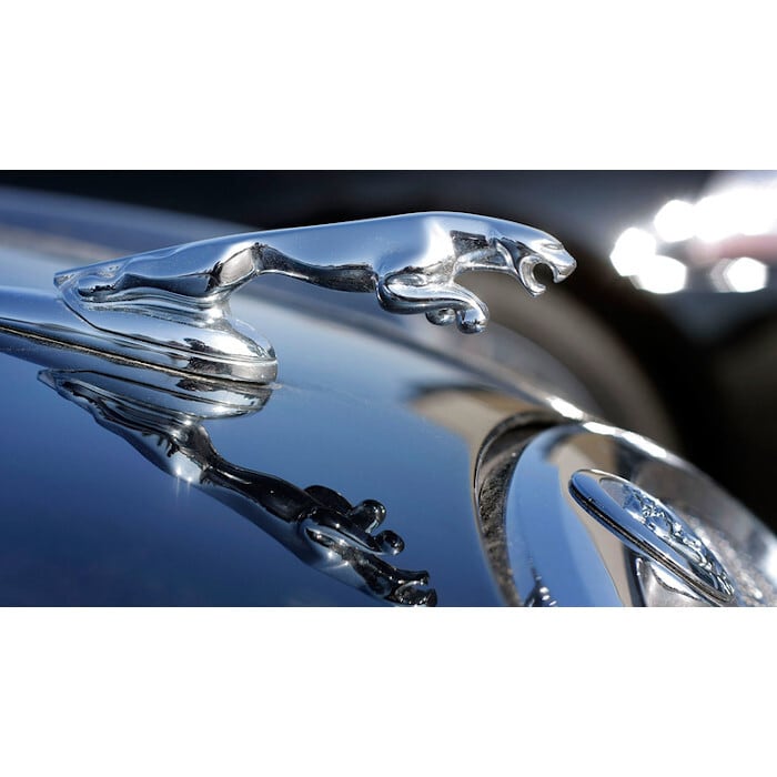 オーナメント エンブレム 固定ピン1本 Jaguar Fタイプ Xe Xf Xfr Xj Xkr ジャガー 車バイクのパーツ店 オーナメント エンブレム 固定ピン1本 Jaguar Fタイプ Xe Xf Xfr Xj Xkr ジャガー 車バイクのパーツ店