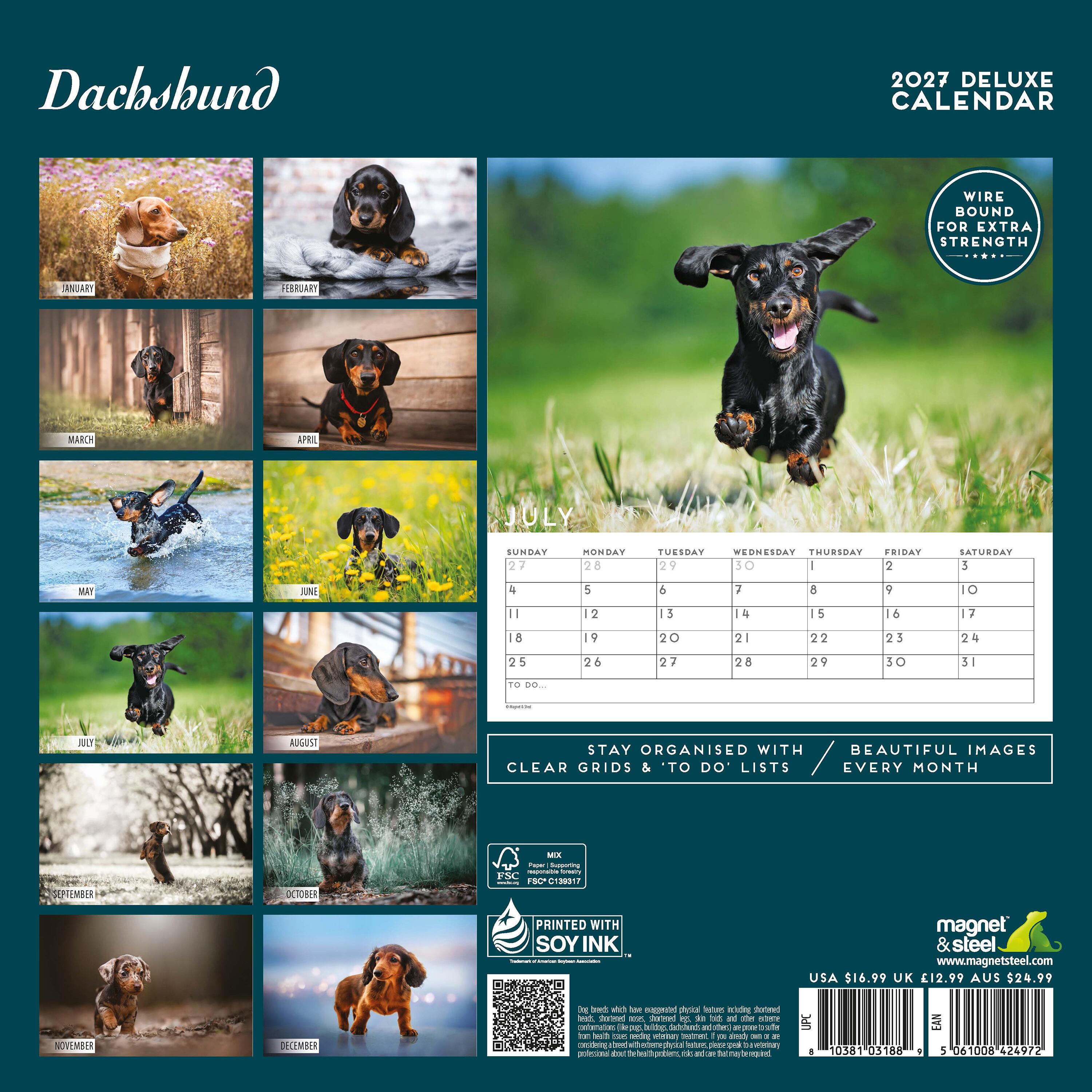 【2027年版】英国製犬種カレンダー【ダックスフント】 DELUXE 2027年版