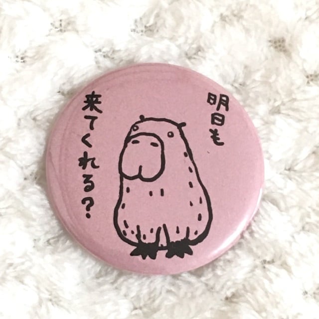 ゆる〜いカピバラ缶バッジ 【明日も来てくれる？】 | カピ族の集い