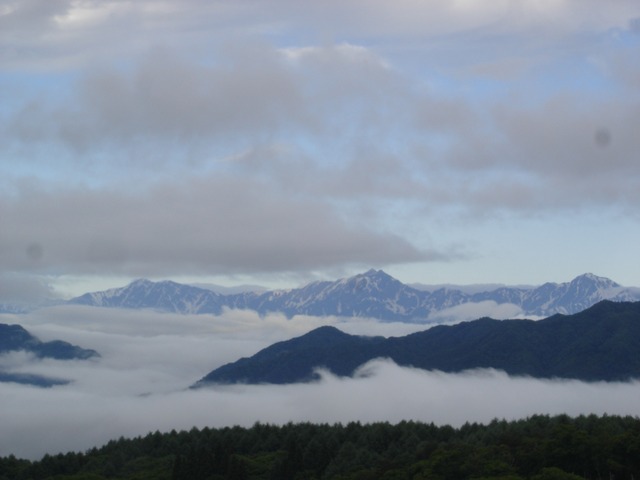 Mセット：　ドライフルーツを主に、無添加りんごジュース+旬野菜