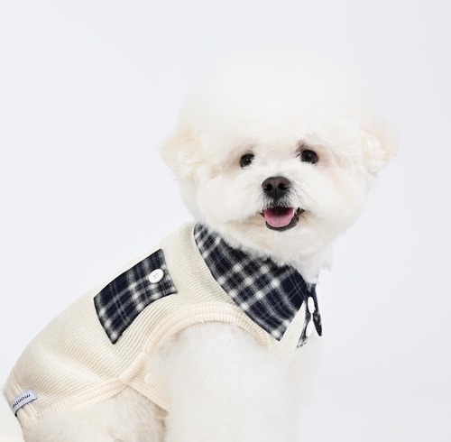 足を通さない襟付きシャツ　‐　(CREAM)