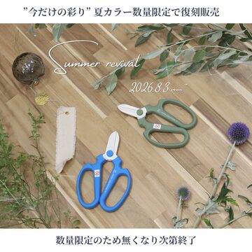 MMC ドライカットシザー(6.0inch) | PAY ID