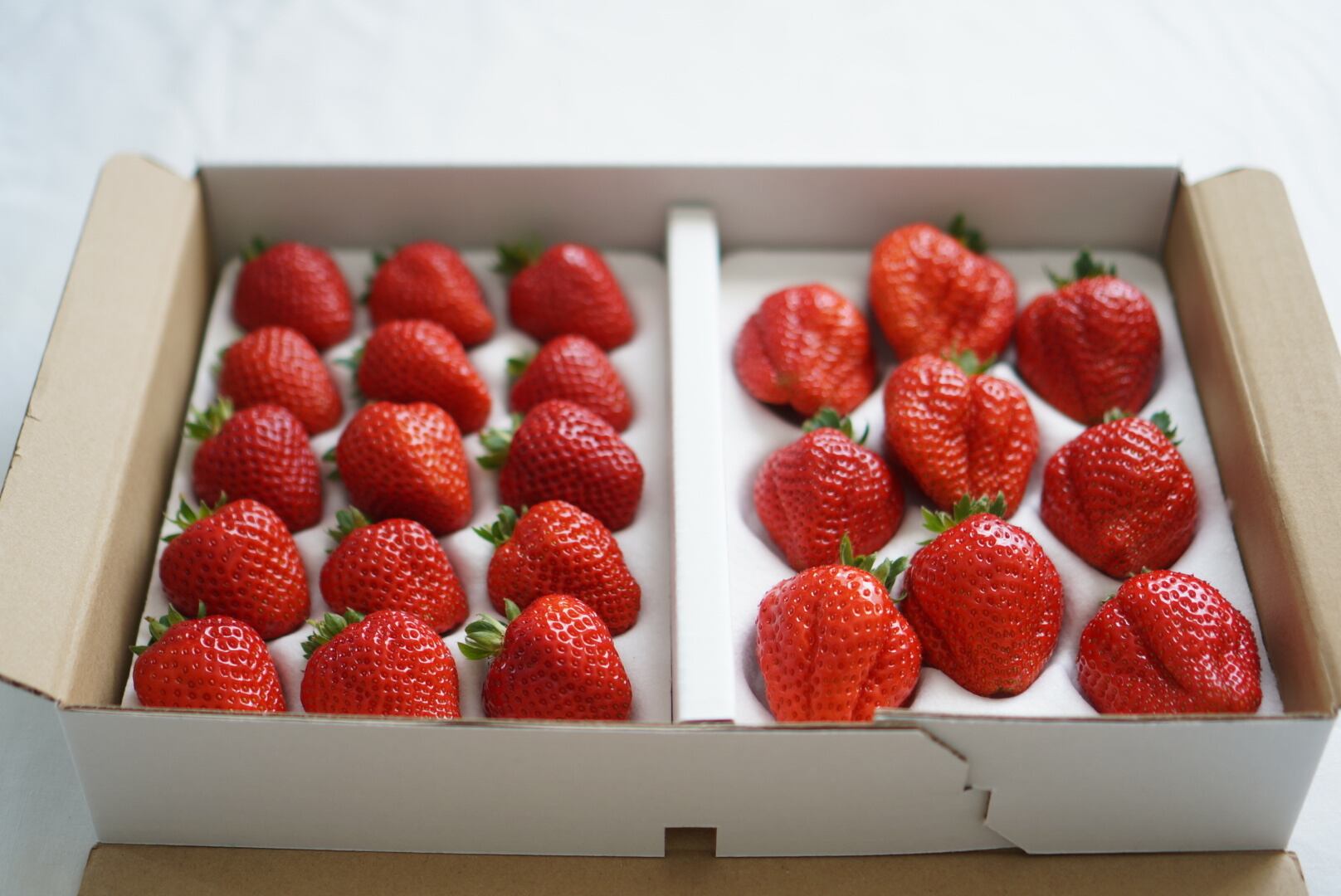 完熟いちご詰め合わせ（箱入り） | OMAE FARM