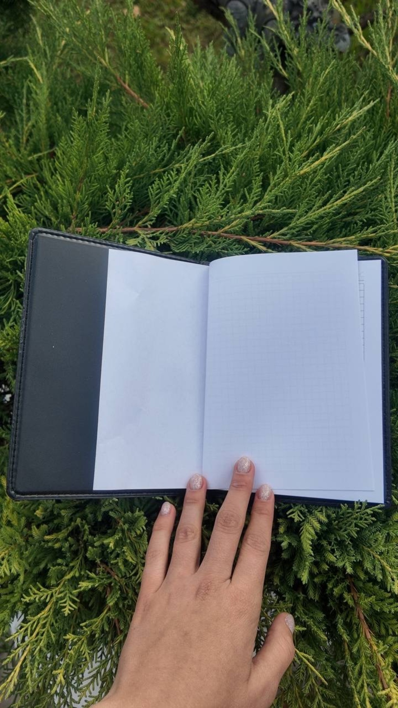 ペトリキフカカバー＋ノート 18 cm（ホメンコ） - 9