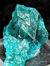 ダイオプテーズ Tsumeb Mine, Oshikoto Region, Namibia AS92800127