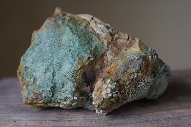 菊花石　Chrysanthemum Stone　A