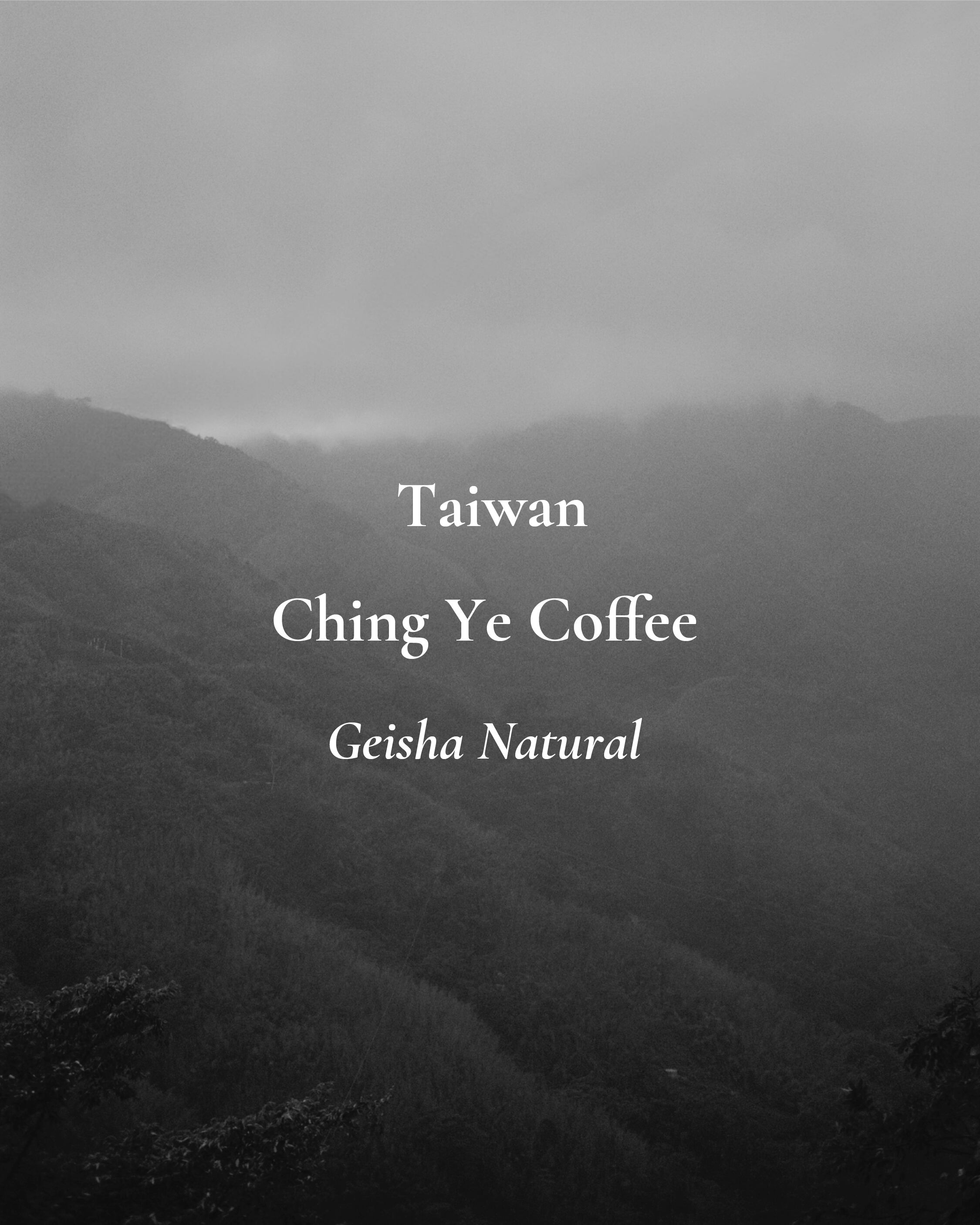 Taiwan Ching Ye Coffee Estate Geisha Natural | 100g