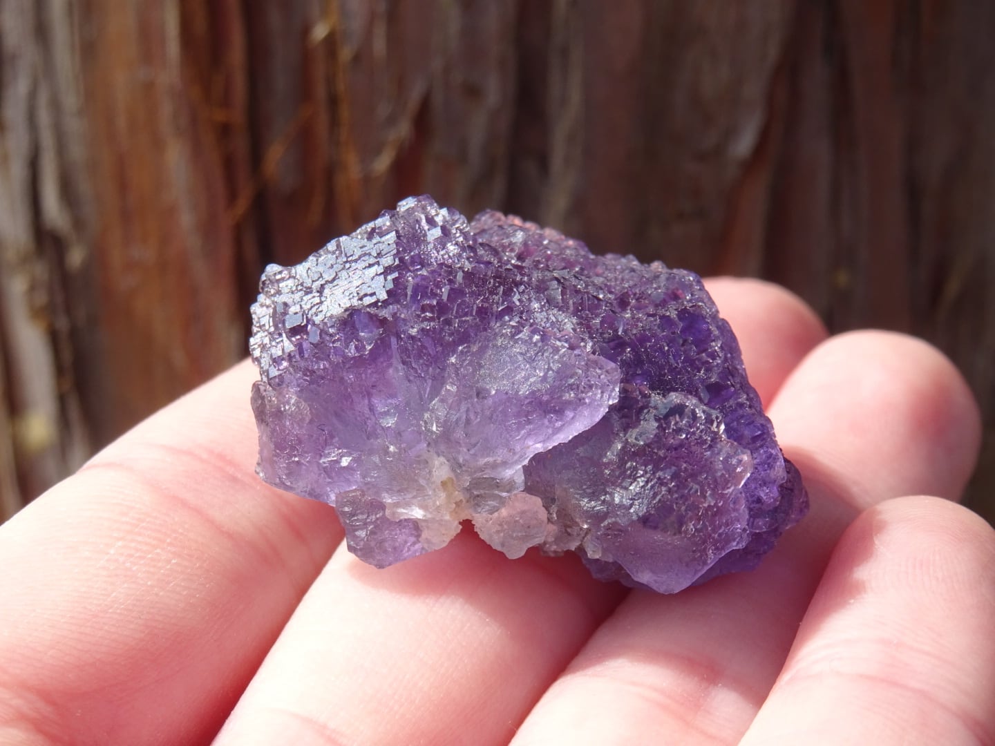 内モンゴル産パープルフローライト | 虹石屋