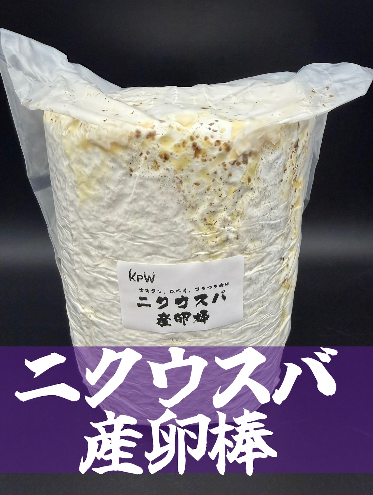 ニクウスバ産卵棒 1本入り