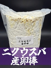 ニクウスバ産卵棒 1本入り