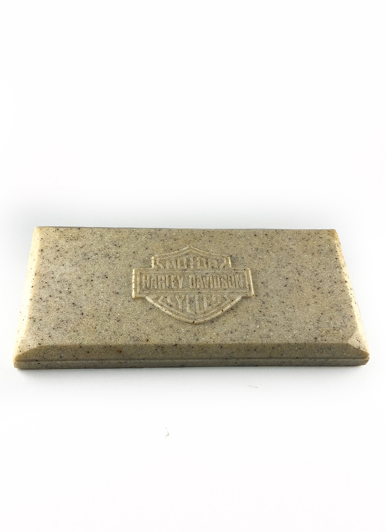 Harley-Davidson panel