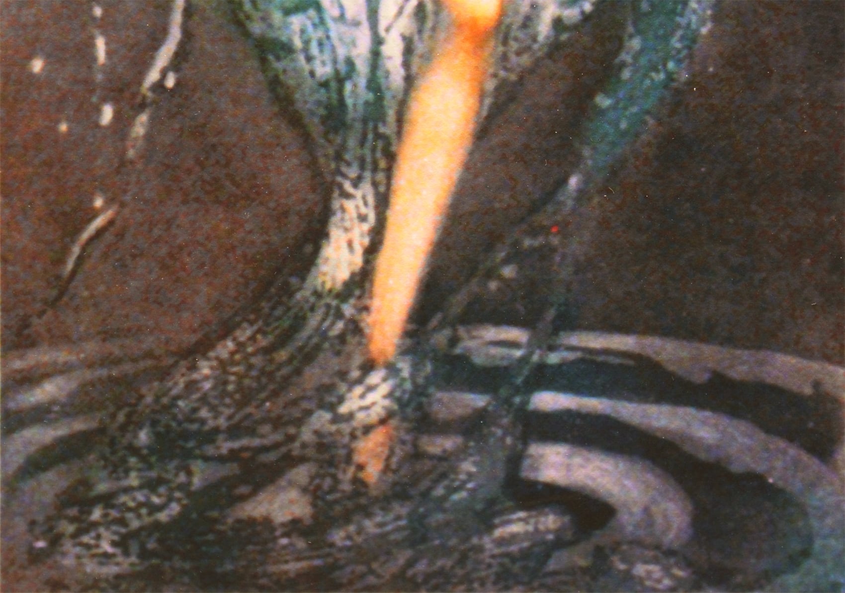 ✤ルイ・イカール✤1925年『フォルシシア』☆黄袋入り 版画