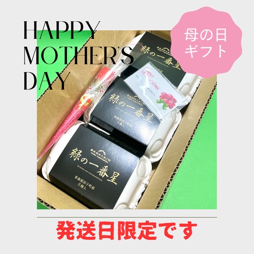 【Happy　Mother′s　Day】早割　母の日ギフト！！10％OFF【～4/30（火）までのご注文限定】　絶品たまごギフトセット  緑の一番星　18個（6個入り×3パック）