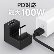 fine?R USB-C アダプター U字型 180度 方向変換 オス?メス Type-C コネクタ 高速データ転送 USB3.1 Gen2 PD100W対応 急速充電 映像出力 スマホ パソコン タブレット対応 2個セット（3.1U型 2個）