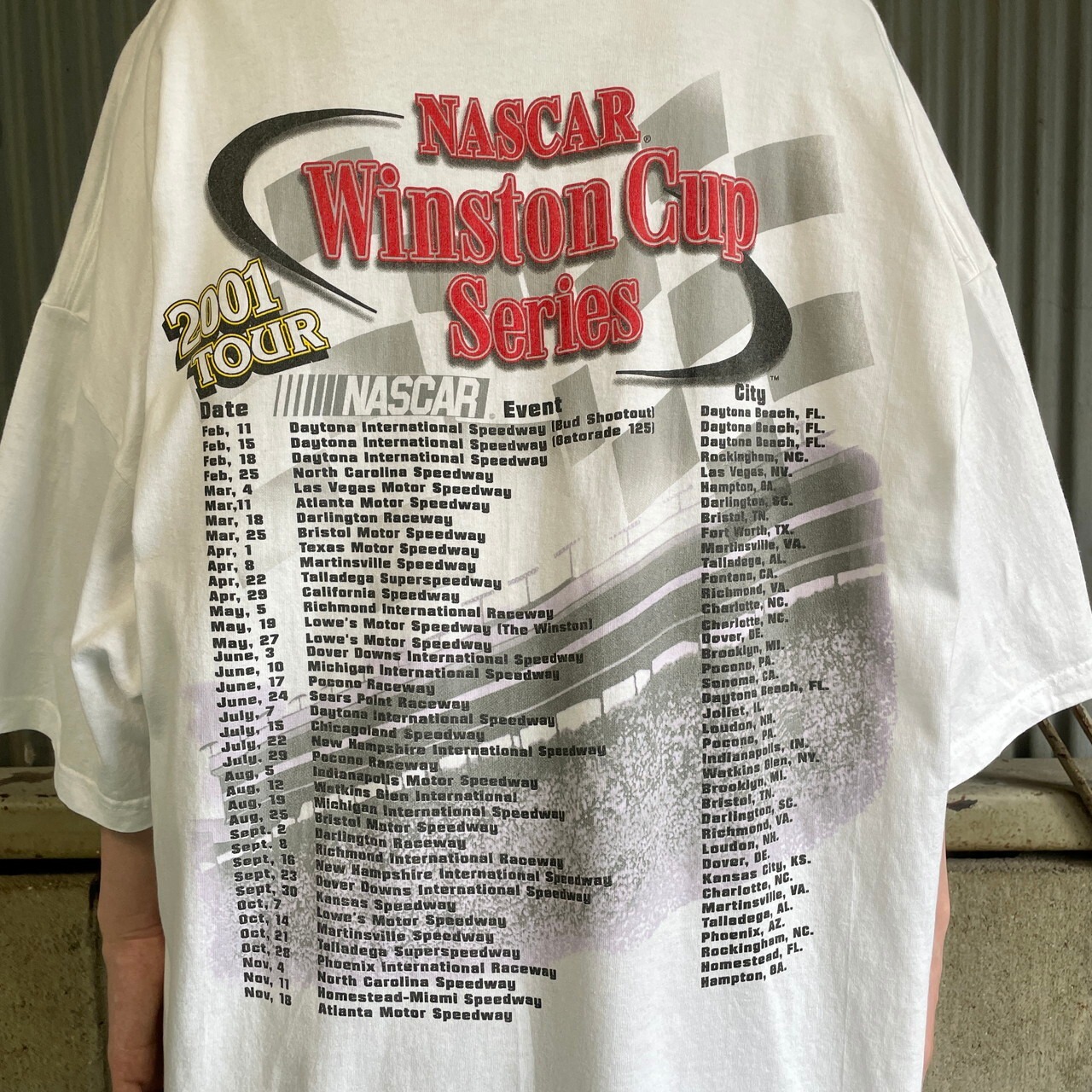 ビッグサイズ 00年代 Bill Elliott NASCAR レーシングTシャツ メンズ 