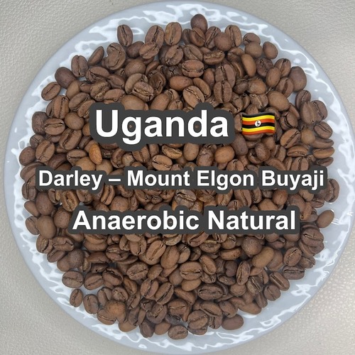 Uganda Darley – Mount Elgon Buyaji Anaerobic Natural（ウガンダ ダーレー社 マウントエルゴン ブヤジ アナエロビックナチュラル ）100g 【受注焙煎・自家焙煎コーヒー豆】