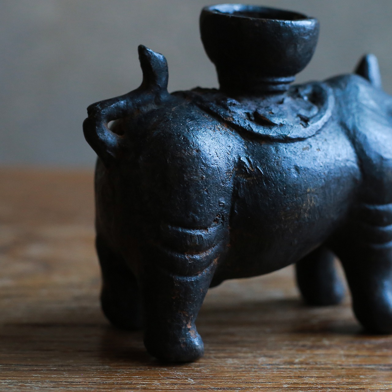 背中にキャンドルを乗せる、ずっしりとしたサイ 2