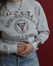 1980's Spring Field College / Sweat Shirt
