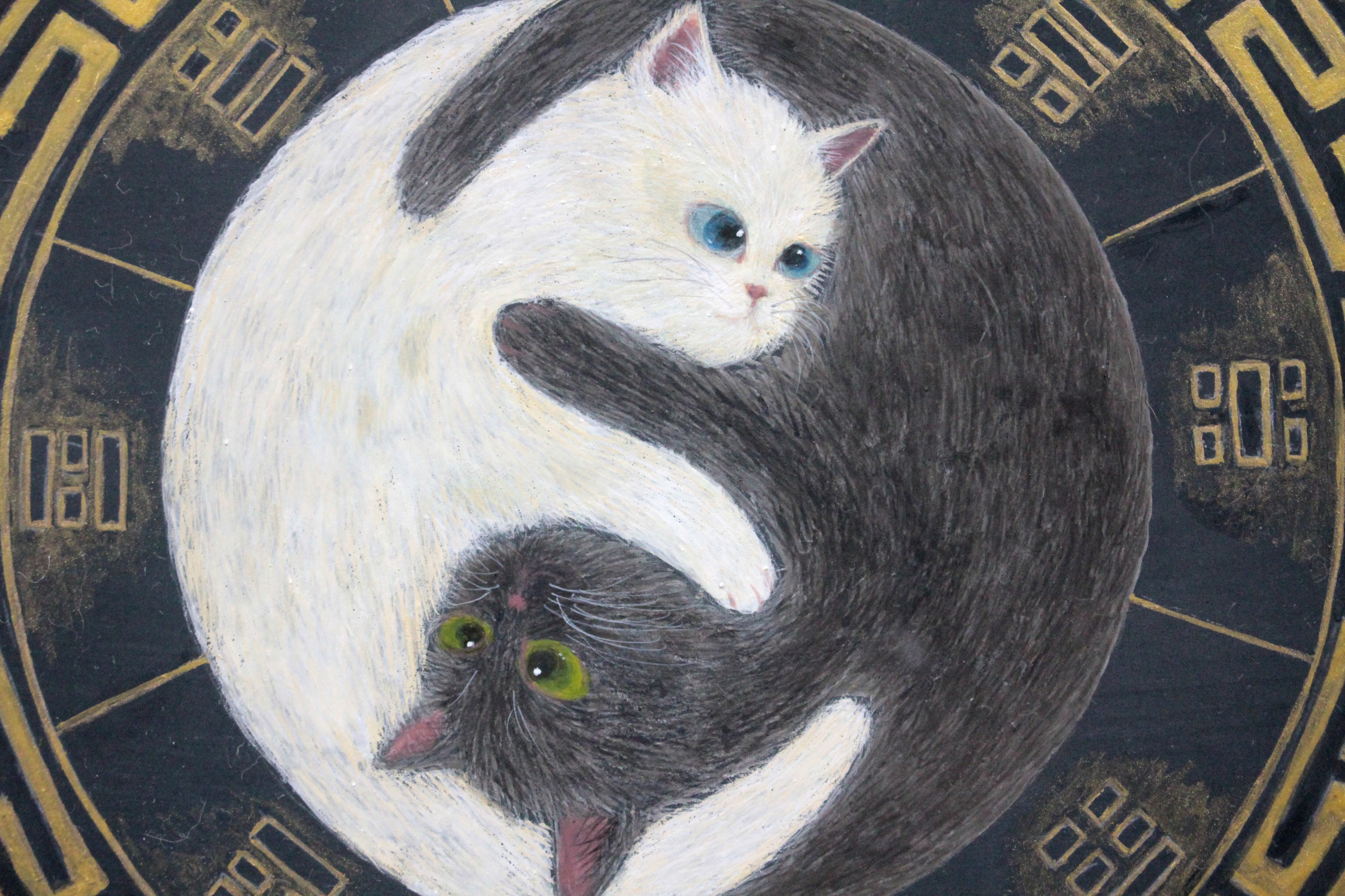 猫と曼荼羅１４ a6e830077d3cd7239b2bdab5410df4