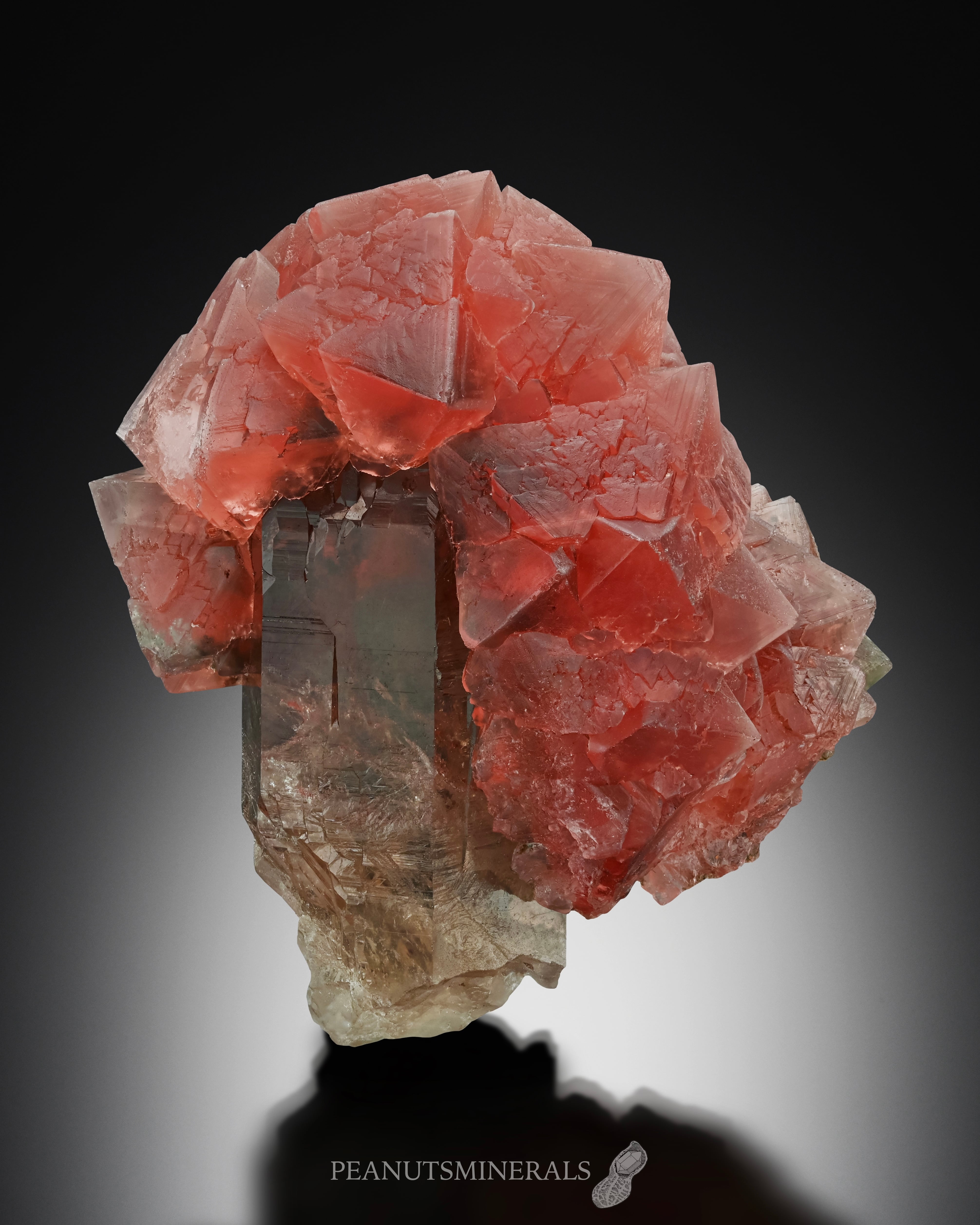 Smoky Quartz | PEANUTS MINERALS