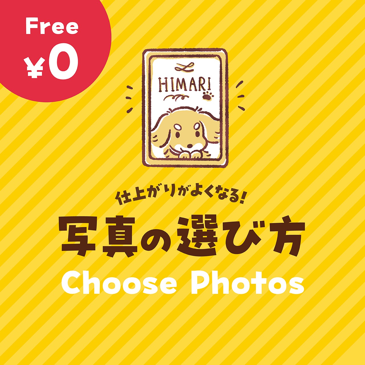 【失敗しない!】お写真の選び方