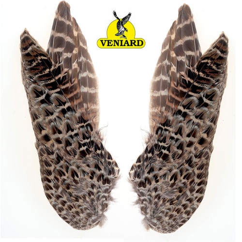 【 OUTLET 】VENIARD - Hen Pheasant Whole Wings Pair