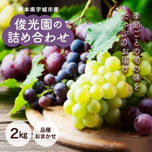 熊本県宇城市産 俊光園の詰め合わせ 2kg シャインマスカット 藤稔 バイオレットキング ブラックビート クインニーナ マイハート 巨峰など（※季節により種類は異なります）