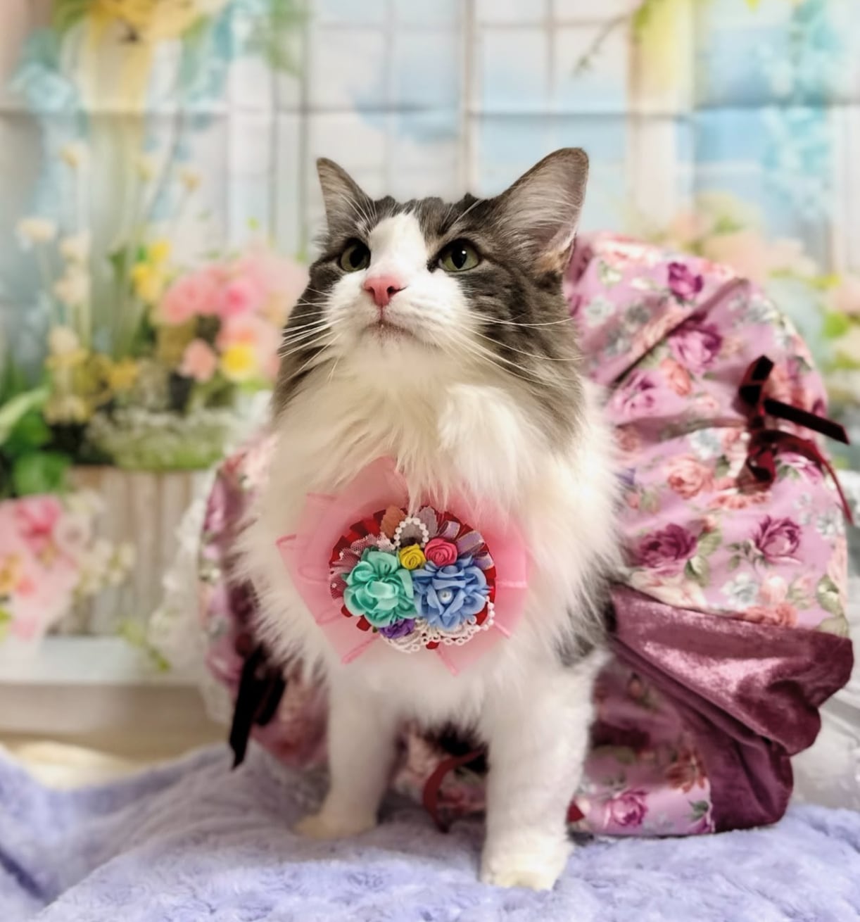 YOSEUE(寄せ植え)チョーカー】グランデサイズ 犬猫チョーカー リボン