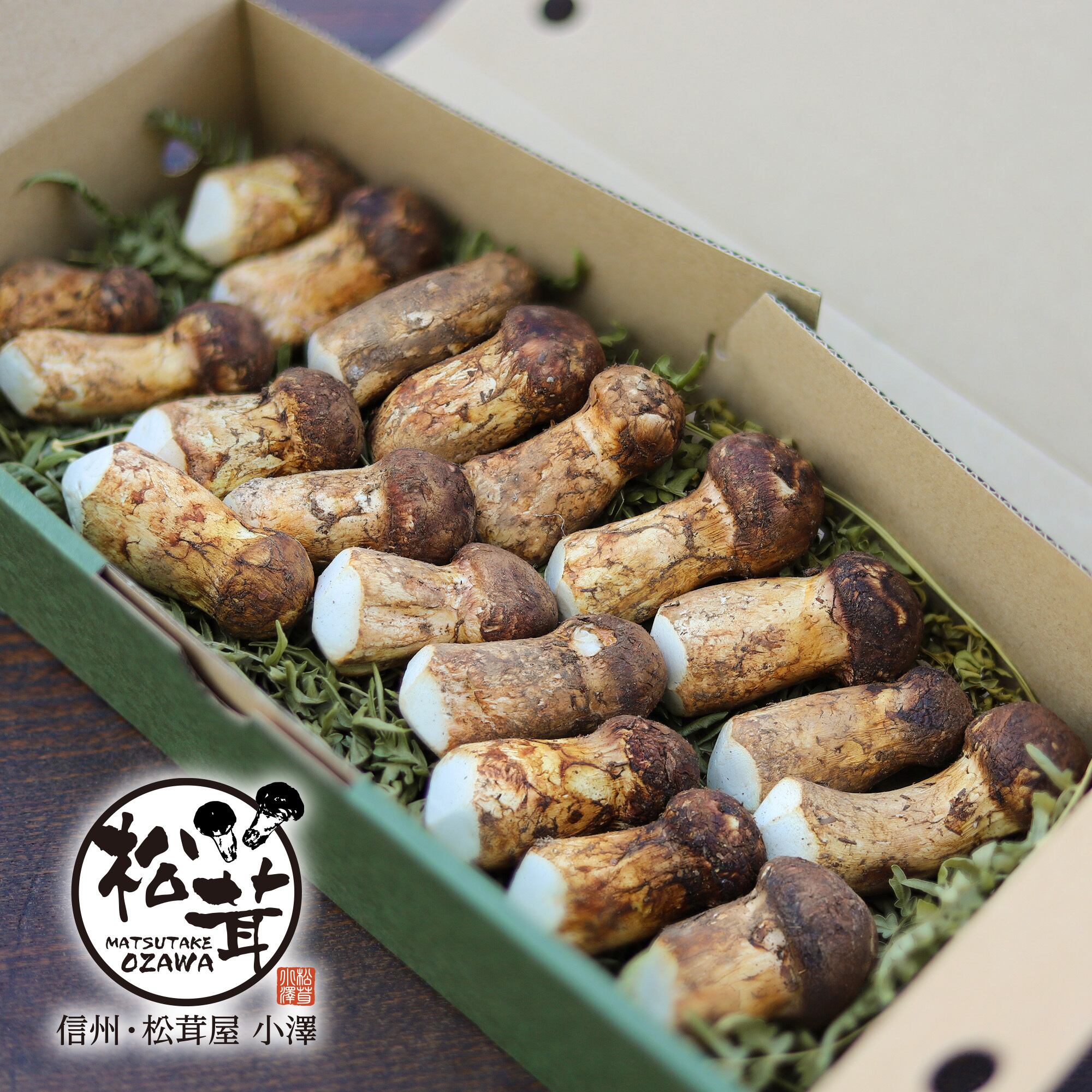 新鮮な国産松茸】【規格外松茸】 約400g（約8本） | 信州松茸屋 茸王-松覇