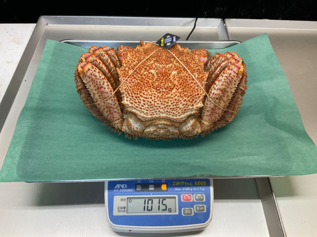 【特大】毛蟹/硬毛ガニ/味の濃さ旨味バツグン/3特ランク/浜茹で/1kgアップ【冷凍】