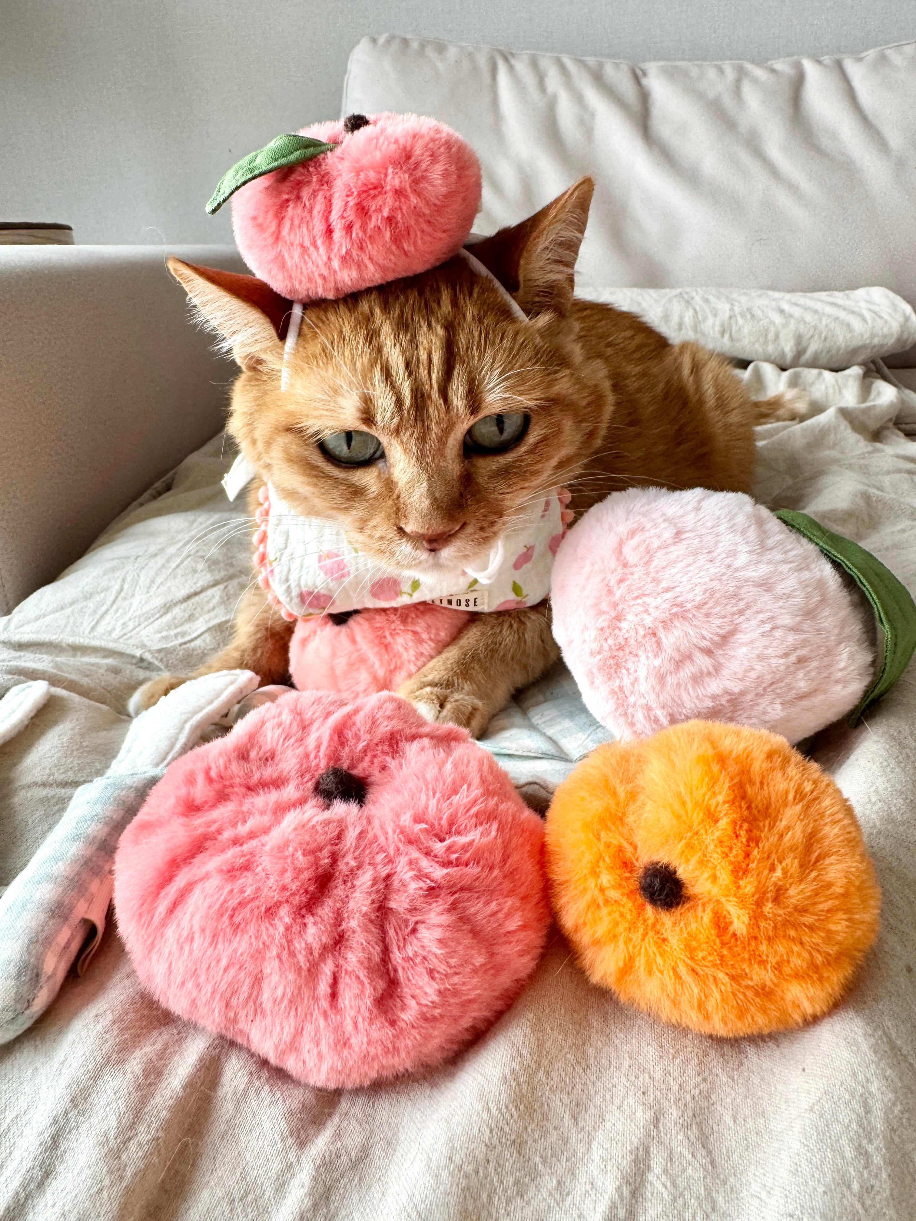 small peach from WETNOSE 猫 おもちゃ キャットニップ | nyanpets 猫