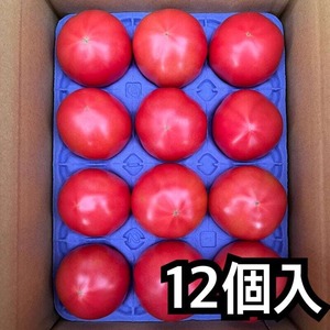 新鮮桃太郎春トマト　１２個　トレイ入り　2.5㎏以上　２５００円