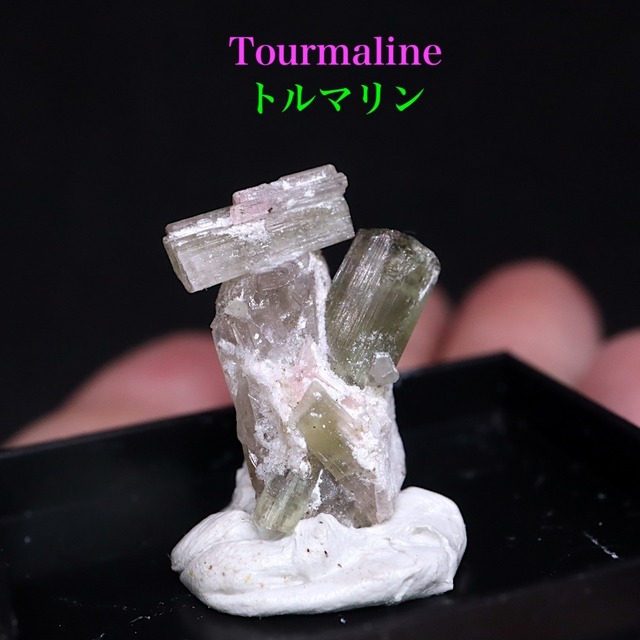 トルマリン クォーツ 電気石 水晶 結晶 ケース入り 2,5g T588   鉱物　天然石　原石　パワーストーン
