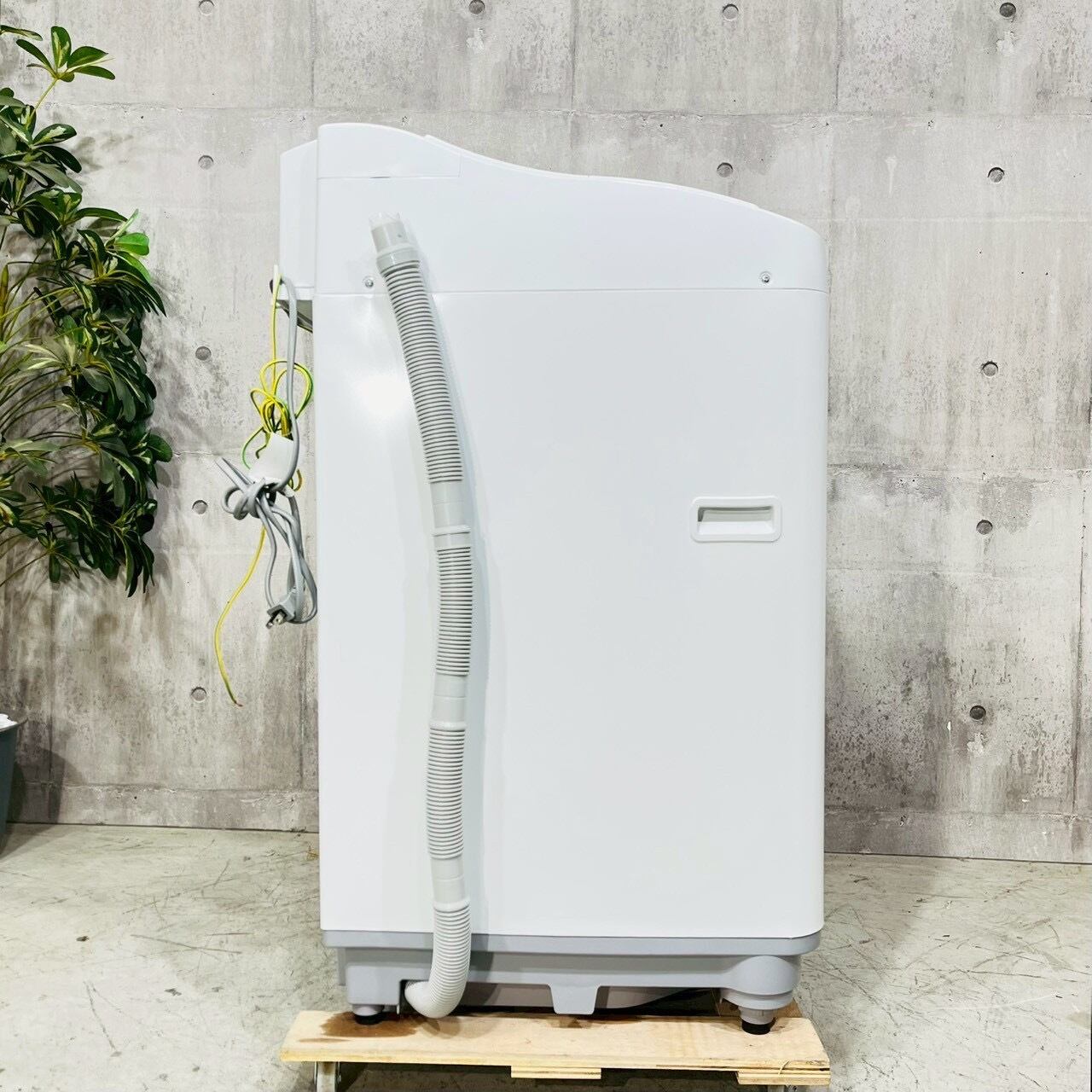♦️SHARP a5334 洗濯機 6.5kg 2022年製 12.5♦️ | リユース家電を