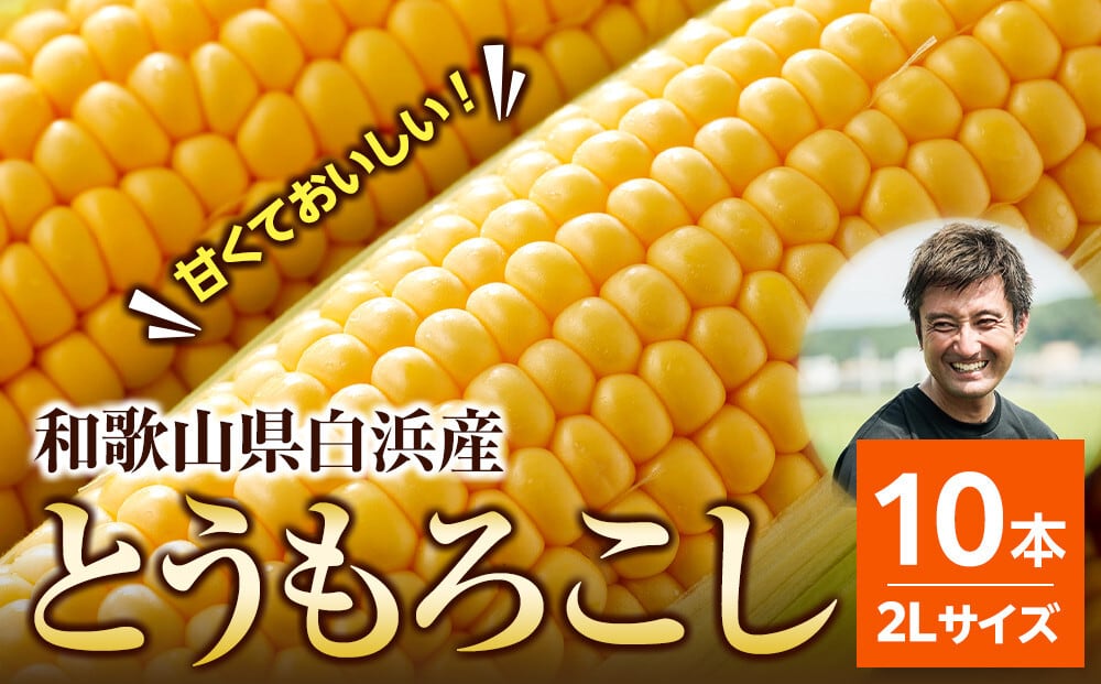 とうもろこしLサイズ12本（上限に達したため販売を終了いたします