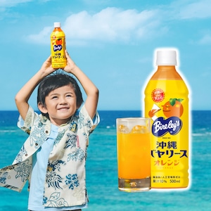 沖縄バヤリースオレンジ　1ケース（24本入り）