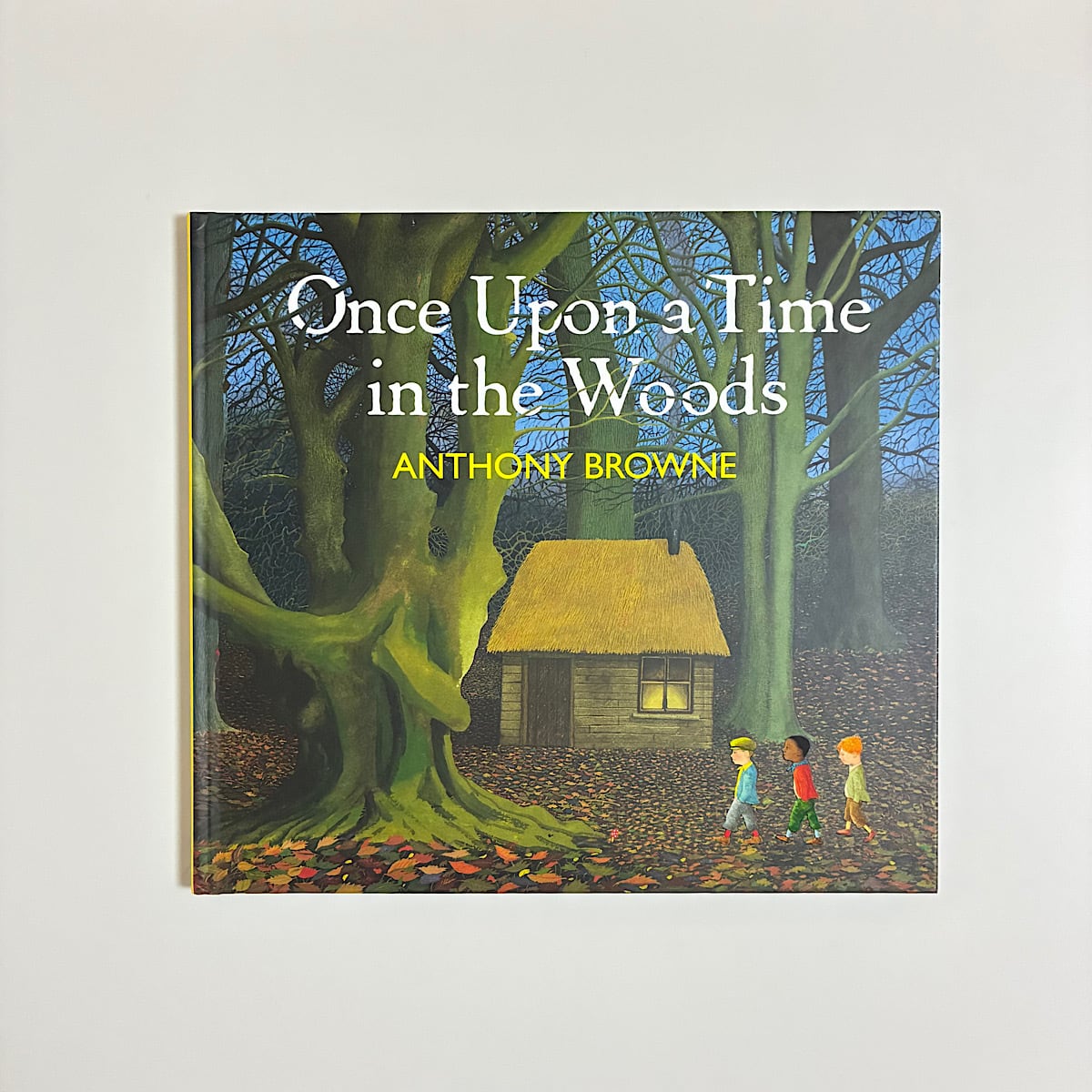 Once Upon a Time in the Woods | 素敵な洋書絵本のお店 Read Leaf Books
