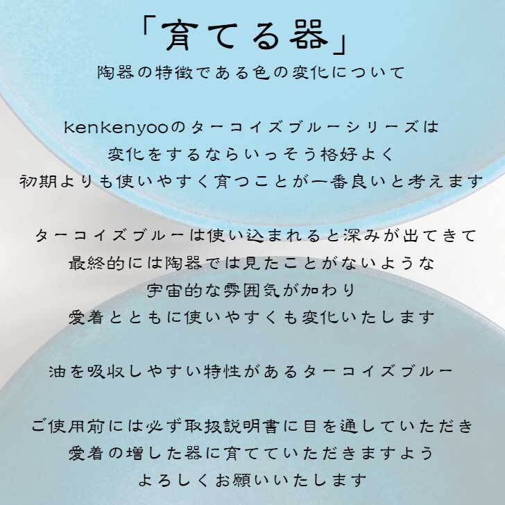 ブループレート（大）　wb-1 大皿 皿 和食器 おしゃれ お皿 パーティ ワンプレート 青 ターコイズ  無地 育てる器 シンプル 直径約28cm お皿 丸皿 陶器 器  プレゼント ギフト 結婚祝い カフェ  丹波篠山