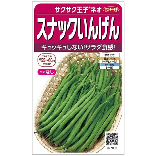 インゲン「サクサク王子ネオ」（1DL） 画像