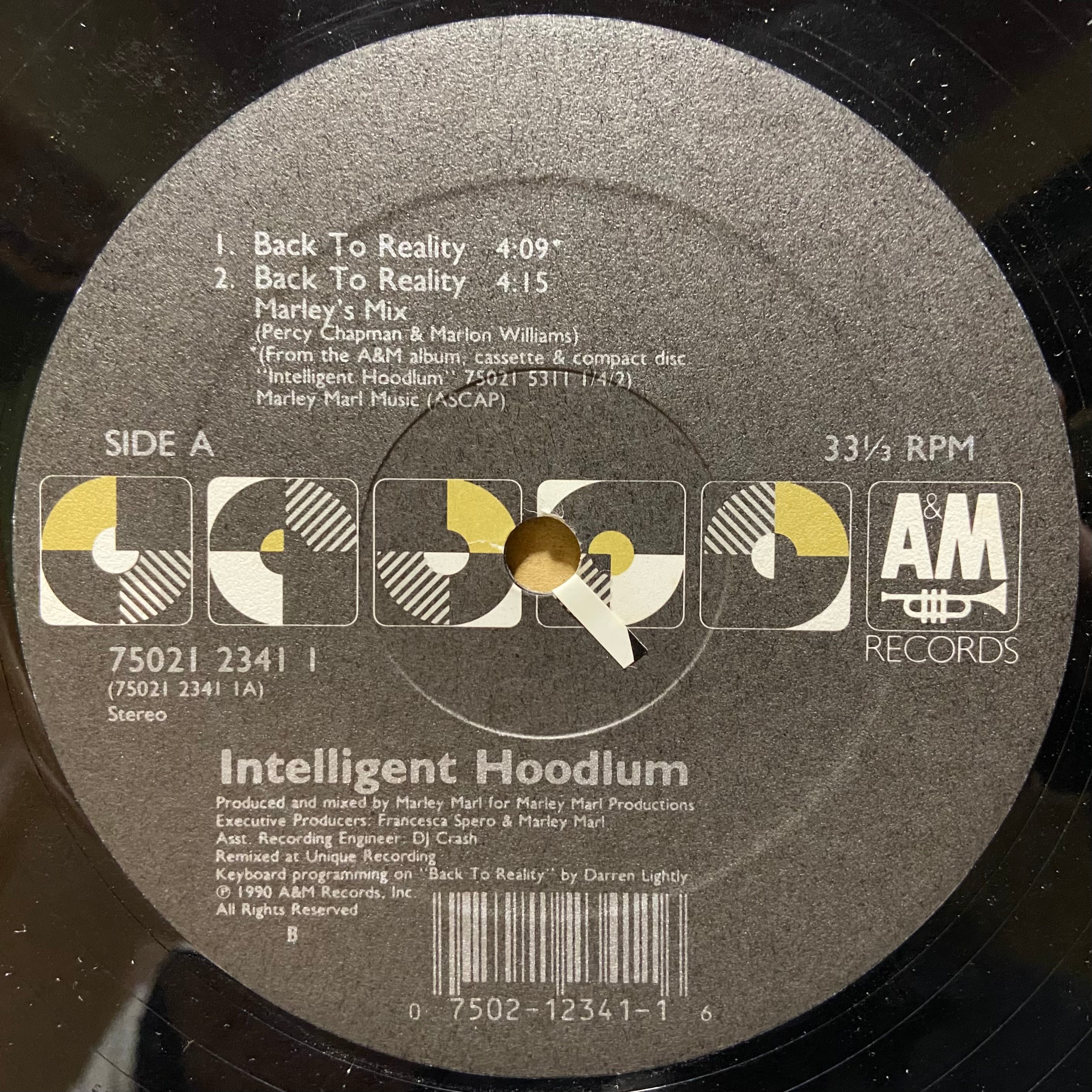 Intelligent Hoodlum / Back To Reality | used HIPHOP vinyl ZEAK