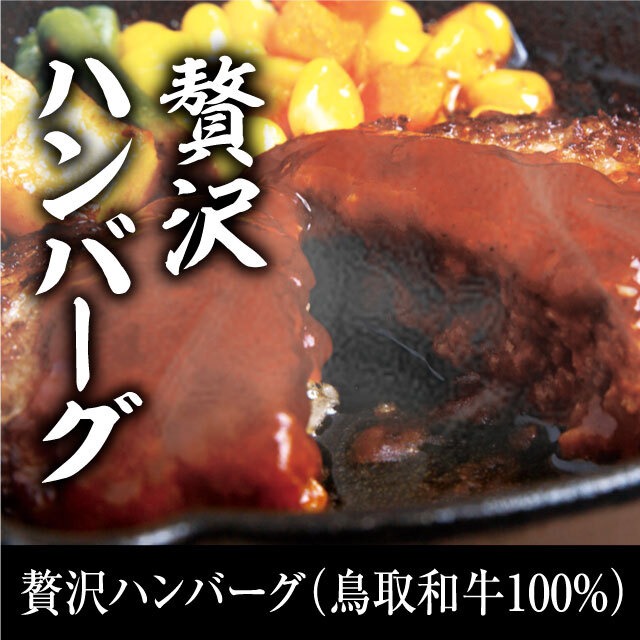 網脂ハンバーグ（和牛100%） 冷凍  6個入り（110g×6個）