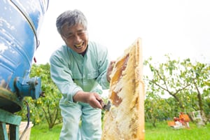 美甘養蜂園の生はちみつ（山蜜）