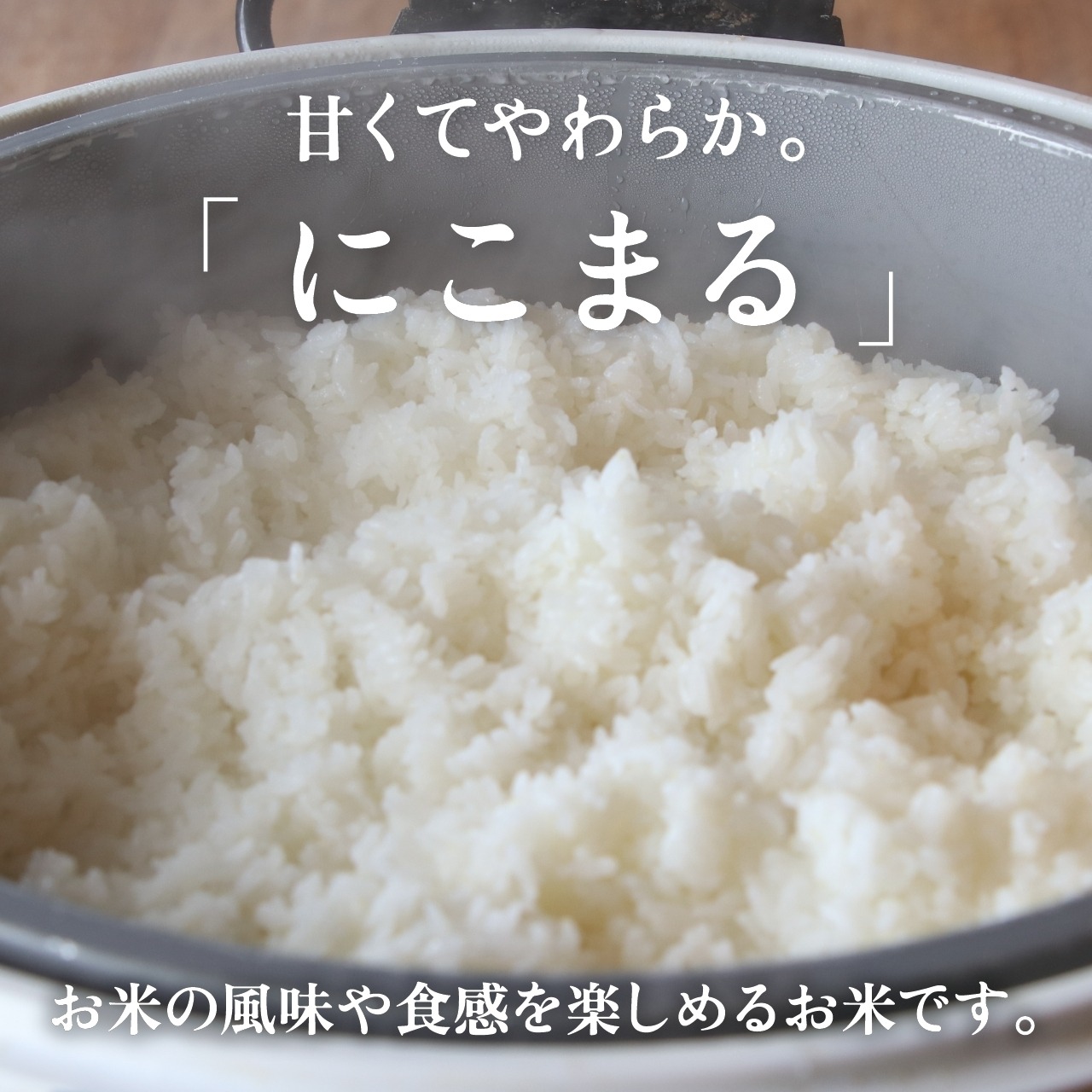 令和6年産　島根県産金芽米にこまる 10キロ(5kg×2) 送料込み