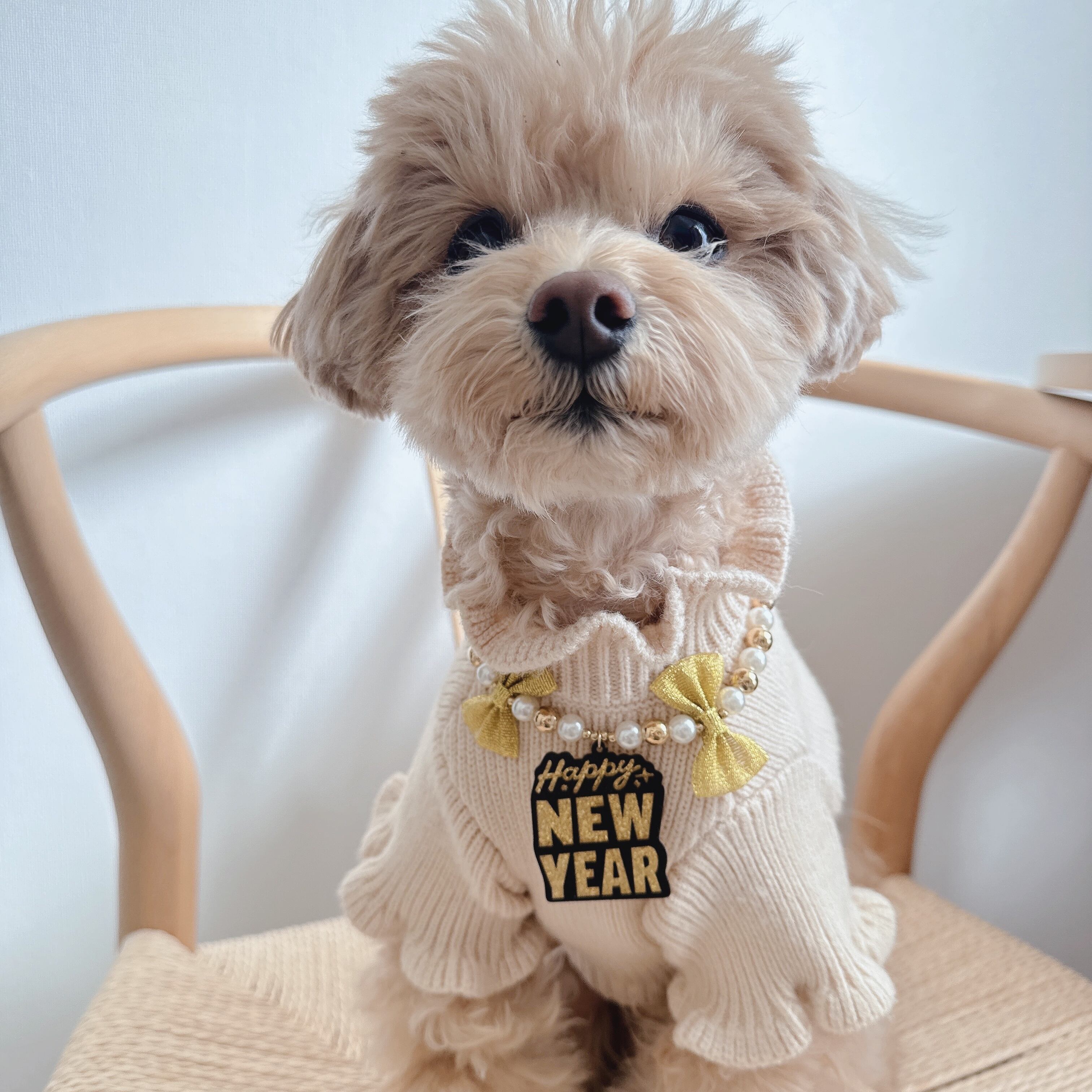 キラキラNEW YEARネックレス