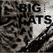 "BIG CATS"  秋山知伸