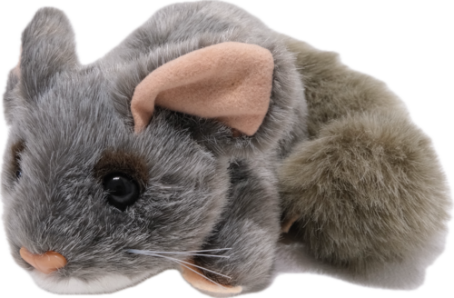 Old Stuffed Toy:  Chinchilla？