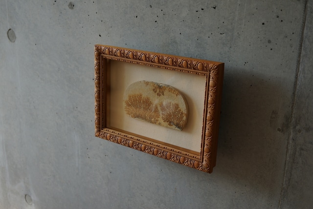 デンドライト 額装 Dendritic limestone 1044